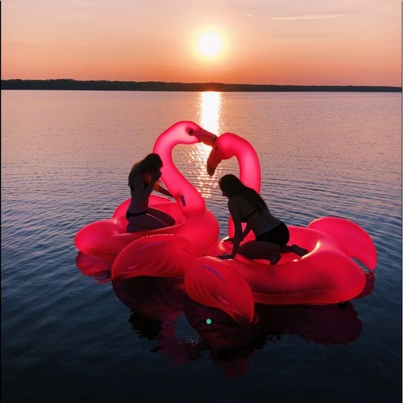 Meet your Posher, Lainey - Picture 1 of 1